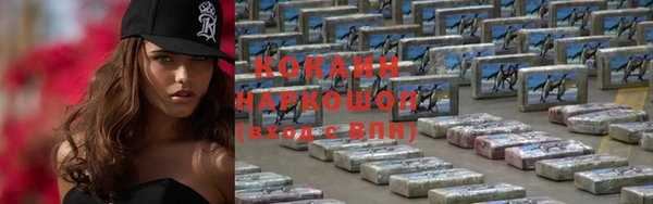 прущие грибы Баксан