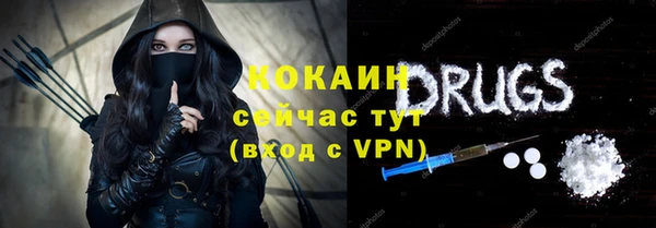 прущие грибы Баксан