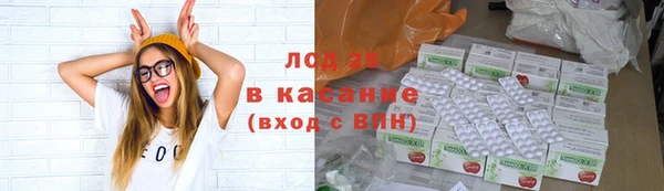 прущие грибы Баксан