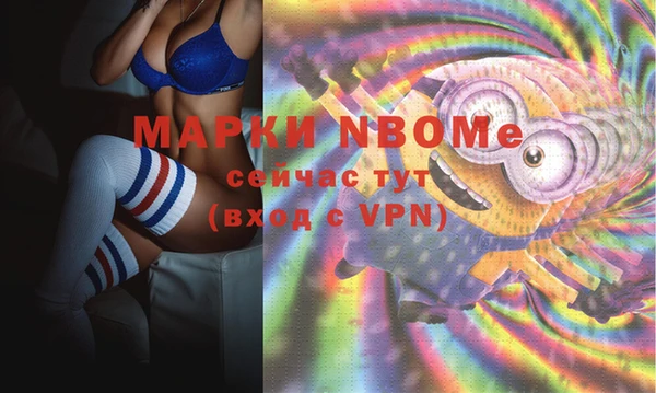 прущие грибы Баксан