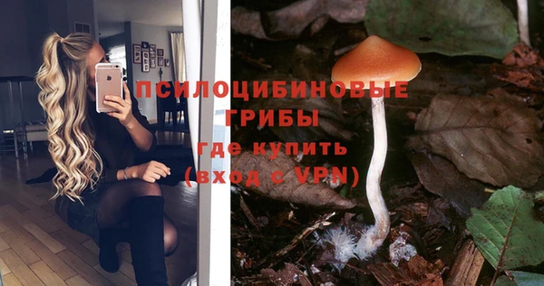 сатива Балабаново