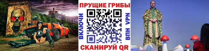 МЕГА ONION  магазин продажи наркотиков  Шелехов  Галлюциногенные грибы GOLDEN TEACHER 